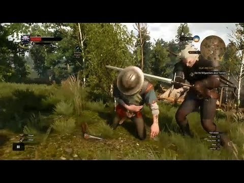 The Witcher 3 - How to do Finisher Executions - Execution Finishers - Finishing Moves