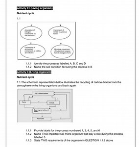 Activity 61 (Living organism)Nutrient cycle1.1[Diagram show... | Filo