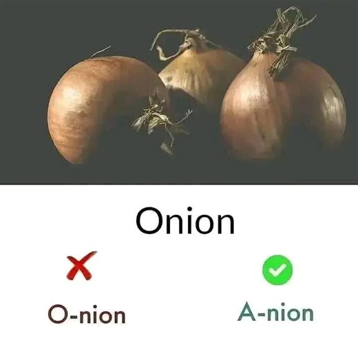 Mastering Pronouns: A Guide to Proper Usage