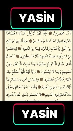 YASIN 4