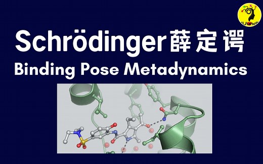 薛定谔 Binding Pose Metadynamics | 元动力学 | 预测配体结合构象 | 虚拟筛选后处理
