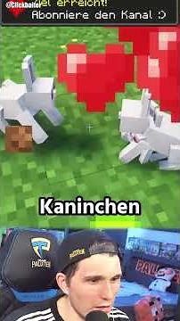 Dinge in Minecraft die du nicht wusstest!