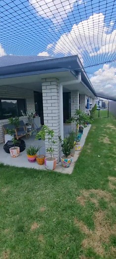 Patio & extending out to the fences for an L-shaped yard enclosure 😸 #enclosure #catenclosure #catio #cat #kitten #catsoftiktok #Queensland #Australia