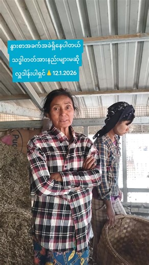 original sound - Daw Ohn Mar Than ပါဝင်သည့် Daw Ohn Mar Than (@daw.ohn.mar.than) ၏ ဗီဒီယိုများ