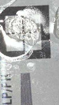 Quantum Vector Matrix fluid & butane: Lattice Entrapment and Dispersion Trails