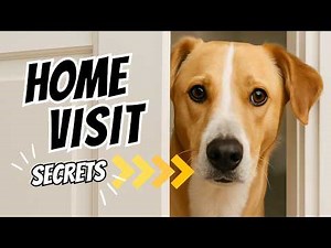 Dog Adoption Home Visit: What Rescues Really Look For (and How to Prepare)