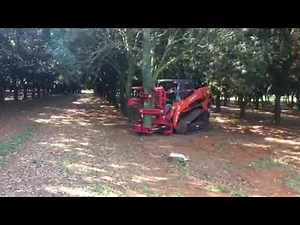 Fecon Tree Shear Demonstration