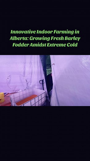 #fodder #farm #farming #farmlife #ag #indoorag #livestock #feed #nutrition #ranching #ranchlife #ontheranch #animals #indoorfarming #reels #reelsinstagram #explore #explorepage #instagramreels #cea #agtech #hydroponic #hydroponics #goats #cows #horses