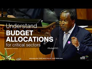 Budget 2021 | Allocations for critical sectors