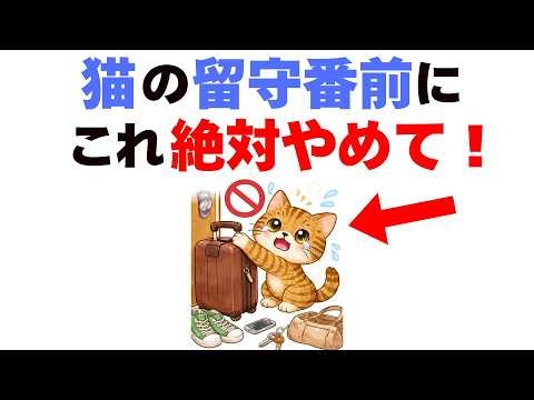 Don't do this before leaving your cat alone!