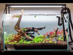 Planted Aquarium Setup || தமிழ் || Part 2