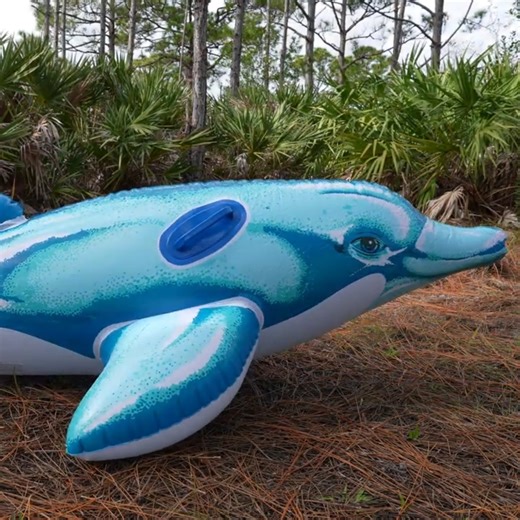 Blue Dolphin Ride-On Pool Float from Swimline