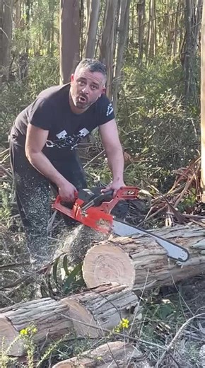 Exploring Timberland: Agriculture in Portugal