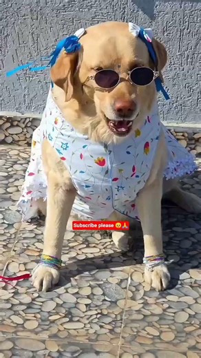 silpa sa figer...😌#trending#viral#likeandsubscribe#love#viral#trendingshorts#animals#love#comments🥺🙏