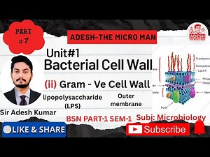 Gram-Negative Bacterial Cell Wall | Peptidoglycan Outer Membrane & LPS Explained | BSN | Lec 7 |