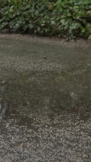 Molly Caudery on Instagram: "Very excited to announce I’m a NordicTrack ambassador✨ I’ve been loving the NordicTrack X16 Elliptical workouts, all within the comfort of my own home!! And with the stunning @iFIT app I’ve got access to over 10,000 workouts, incredible trainers and an interactive AI Coach to genuinely feel like I’m training anywhere in the world 🗺️ Use my code MOLLY8 for 8% off any machine! #ad #NordicTrack #NordicTrackUK #iFIT"