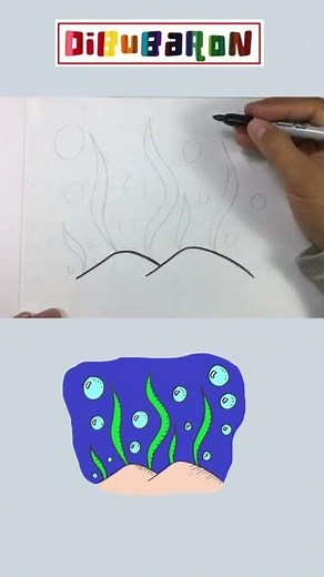 How to draw algae
