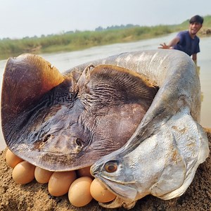 Unbelievable technique fishing catching system popular satisfaction fish finding video river side #fishing | Discovery Site