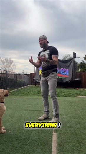 More tips on the K9 optima app download and subscribe today for full access to 300 case studies are more than 100 webinars! Level up your dog training! Ditch the lure, master the hand signal. 'Come' here! #DogTraining #DogCommands #HandSignals #DogTricks