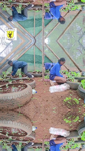 The garden and life in partnership with gravelotte primary... nature matters