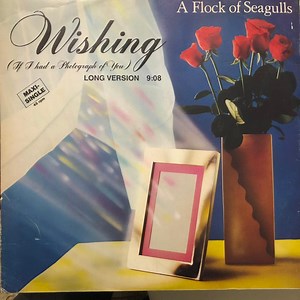 A Flock Of Seagulls - Wishing (If I Had A Photograph Of You) (Long Version)