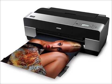 How to Reset Epson Stylus Printer ( Light Blinking )