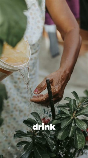 Fun and simple science for kids! 🧪 how to plant water ?
