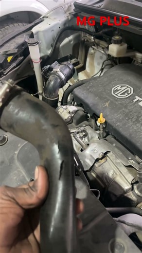 MG PLUS Pickup Problem 👍