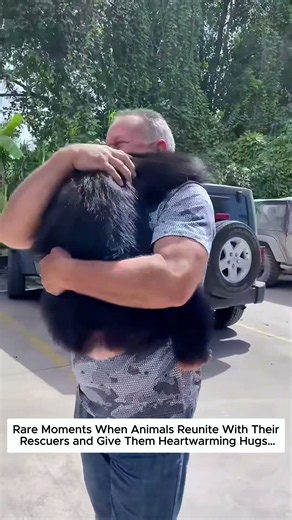 Rare Moments When Animals Reunite With Their Rescuers and Give Them Heartwarming Hugs…