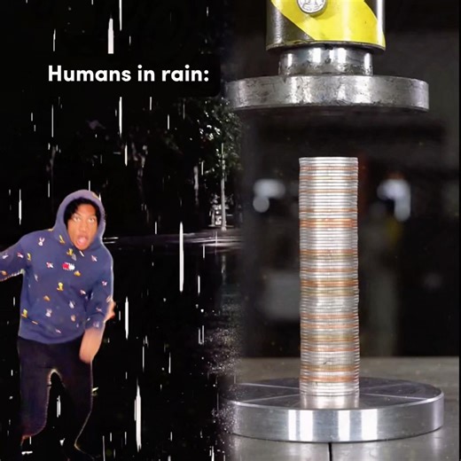 Ants Vs Humans #pov #skit #relatable #comedy