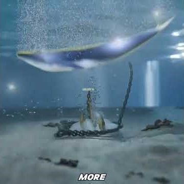 How Ship Anchors Really Work | The Chain Does All The Work ?