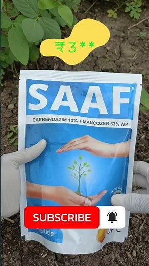 The Best Fungicides for Plants (2025 Review) #agriculture