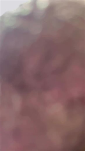 Silly TikTok Words That Make You Laugh