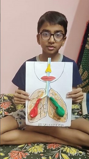 demonstration of human respiratory system through balloon lungs activity