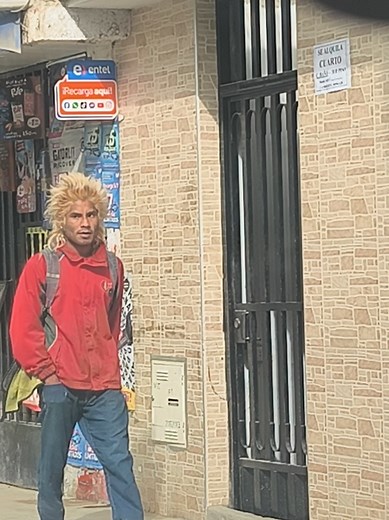 La leyenda del Sayayin y Goku