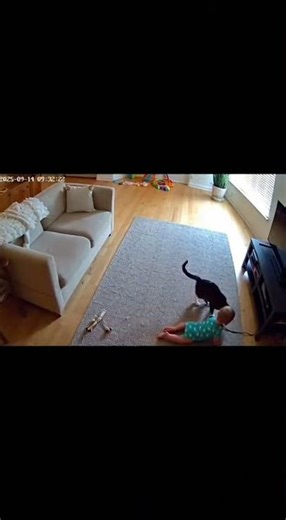 Security Camera Captures Hero Cat Saving Baby From Hidden Danger 🐾