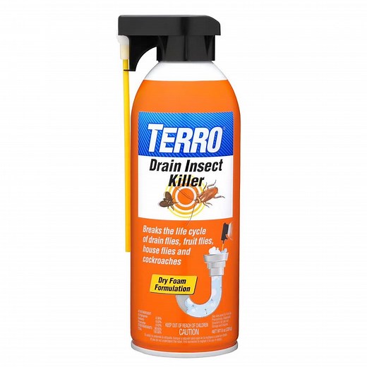 Reviews for TERRO 8 oz. Drain Insect Killer Aerosol Spray | Pg 1 - The Home Depot