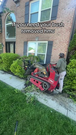 Bush Removal Service for Blue Collar Jobs