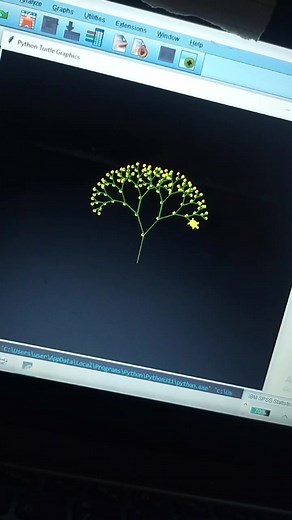 DIY Flower Coding Tutorial: Python Sandbox Tuttle