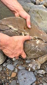 What an incredible discovery! 🤩 We stumbled upon a massive shale collapse