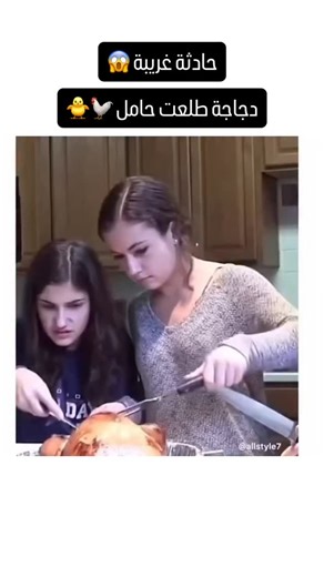 Global Fun | ‎عائلة كانت على موعد مع مفاجئة عندما وضعوا الدجاجة ليتناولوا طعام الغداء ليخرج من بطن الدجاجة 🐥صوص صغير … ما اثار حزن العائلة‎ | Instagram