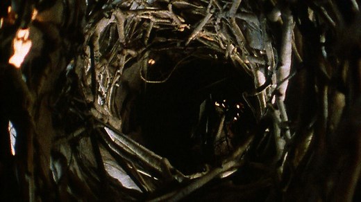 Death by strangulation