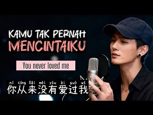 你从来没有爱过我 • Ni Cong Lai Mei You Ai Guo Wo • 励明 • Kamu Tak Pernah Mencintaiku • You Never Loved Me