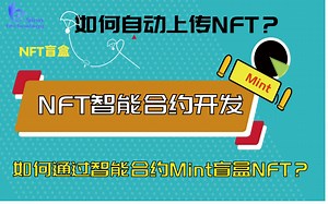 玩转智能合约开发NFT项目|NFT开盲盒设定价格带Mint功能背后的技术原理！自动生成NFT上传Opensea