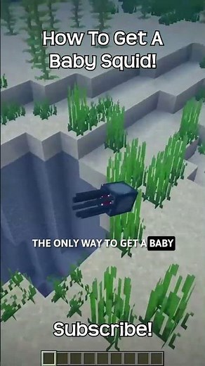 How To Get A Baby Squid In Minecraft?!