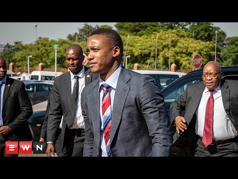 Duduzane Zuma: In and out of court