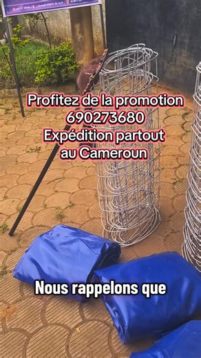 🔥 3 CONDITIONS POUR RÉUSSIR EN PISCICULTURE HORS SOL EN AFRIQUE 1️⃣ Un espace sécurisé 2️⃣ Une source d’eau de qualité et en quantité 3️⃣ Un capital de départ d’au moins 50 000 FCFA 👉 Oui, vous pouvez produire du poisson même en étant en location, à la terrasse, au jardin, au bureau ou derrière la maison ! ✨ #NOS_FORFAITS PROMO (uniquement pour les participants à la formation) : ✅ Kit Starter : 1 seau de 100L aménagé 30 alevins 2kg d’aliments formation → 50 000 FCFA ✅ Kit Standard : 1 fût de 2
