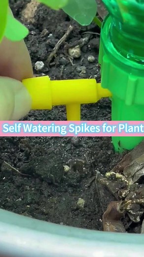Self Watering Plant Spikes - Ultimate Guide for Your Garden!