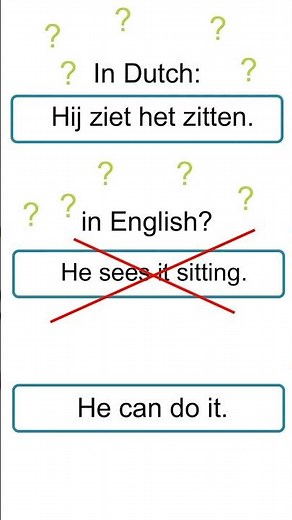 Funny Dutch (B2) he sees it sitting #dutchlanguage #learndutch