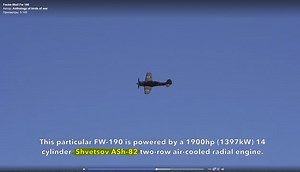 Focke-Wulf Fw 190 (Germany)